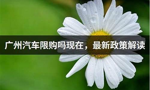 广州汽车限购政策最新2023年_广州汽车限购政策最新2023