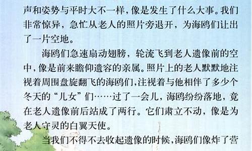 老人与海鸥课文_老人与海鸥课文原文图片