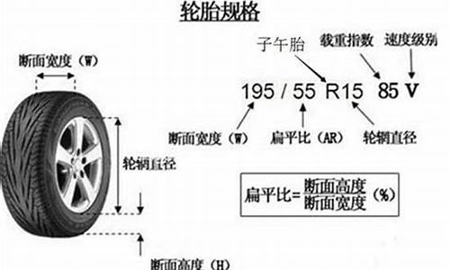 轮胎型号不一样审车能通过吗_轮胎型号